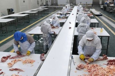 冷冻食品仓储加工商红星冷链拟A股IPO，成品油仓储巨头跨界投资引发市场关注